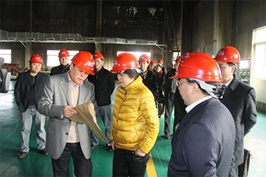 2012年1月31日，时任黄冈市委书记鲁俊携带市发改委等市级部门掌管人到公司调研