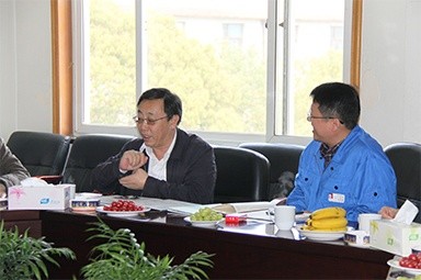 2013年3月18日，时任国度工信部节能司副司长杨铁生一行莅临公司参观领导